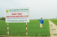 Doanh nhân, thương binh Trần Mạnh Báo: Xứng danh anh hùng trong sản xuất giống lúa