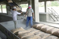 Cuộc chơi xi măng sẽ về tay ai?