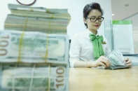 Không lo áp lực cung ngoại tệ cuối năm