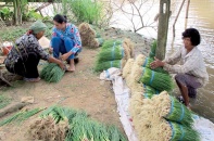 Tín dụng chính sách - "Phao cứu sinh" cho người nghèo