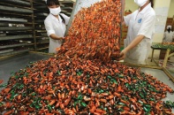 Ma trận giấy phép con và nền kinh tế sáng tạo (kỳ 1)