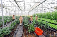 Hội nghị Thượng đỉnh Kinh doanh Việt Nam 2017: Cuộc kết nối đỉnh cao