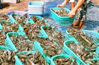 Thông qua Luật Quy hoạch: Kỳ vọng “cởi trói” nguồn lực đầu tư