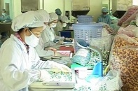 Dược Cửu Long khuấy động nhóm cổ phiếu dược