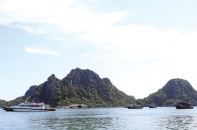 Các đặc khu sẵn sàng đón "phượng hoàng”