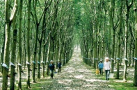 Mập mờ thoái vốn: VHG “thổi bay” ngàn tỷ đồng