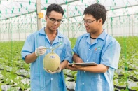 Kiếm tỷ USD từ rau quả, thực phẩm