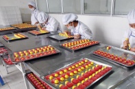 Môi trường kinh doanh Việt Nam 2018: Cuộc đua không điểm dừng