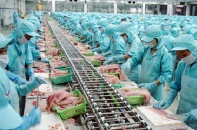 Sản xuất, chế biến thịt, sữa… có lo ngại CPTPP?