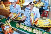 Tái cơ cấu chậm, Vinacafe sẽ bị chuyển sang “siêu ủy ban”