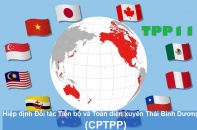 Việt Nam thời CPTPP
