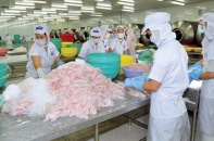 Thủy sản Hùng Vương chưa thoát khó