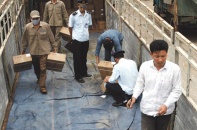 Tìm động lực tăng trưởng kinh tế: Những níu giữ mang tên… luật định