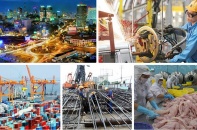Phản ứng chính sách trước chu kỳ khủng hoảng 10 năm