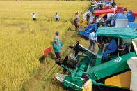 Tháo điểm nghẽn về quy mô sản xuất nông nghiệp để không còn "nền nông nghiệp giải cứu"