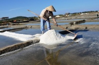 Quảng Ngãi “xẻ” đồng muối để xây biệt thự