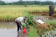 Cơ hội khi TP.HCM chuyển đổi 26.000 ha đất nông nghiệp