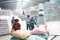 Xuất khẩu gạo: Lo vì phụ thuộc thị trường lớn
