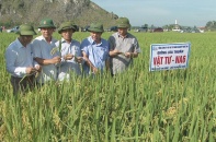 Tổng công ty cổ phần Vật tư nông nghiệp Nghệ An: Làm nông nghiệp không thể tách rời khoa học 