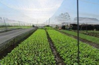 Thu hút doanh nghiệp tham gia dự án PPP nông nghiệp