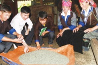 Đồng bào dân tộc thiểu số ở Yên Bái phát triển kinh tế nhờ tín dụng chính sách