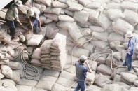 Dư cung lớn, doanh nghiệp vẫn rót tiền vào xi măng