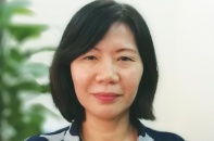 Trong chính sách thu hút FDI phải tính tới cả doanh nghiệp nội địa 