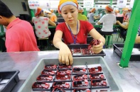 Quy mô nền kinh tế ngày càng được mở rộng