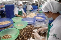 CPTPP: Kỳ vọng và nỗi lo