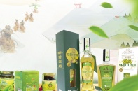 Sâm Vina: Thương hiệu Sâm Ngọc Linh số 1