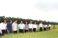 An Giang đón làn sóng đầu tư vào nông nghiệp và du lịch