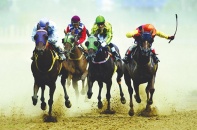 Dự án trường đua ngựa trở lại đường đua