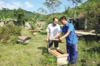 Vốn chính sách giúp thanh niên khởi nghiệp