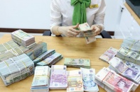 Tỷ giá sẽ được điều chỉnh ở biên độ hẹp