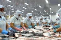 Thủy sản An Giang: “Mắc cạn” với khoản lỗ lớn