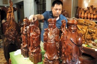 Kinh tế Việt Nam và giấc mơ của đàn kiến