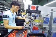 Các lựa chọn chiến lược cho kinh tế Việt Nam 2019