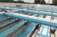 Cổ phiếu BWE: Chủ tịch miệt mài mua