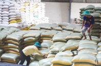 Mua dự trữ, mở rộng thị trường để hỗ trợ sản xuất lúa gạo 
