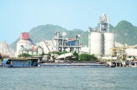 Doanh nghiệp xi măng vào tầm ngắm thanh tra