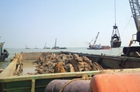 Bắt lỗi Dự án nâng cấp luồng vào cảng Cửa Lò