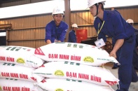 12 dự án yếu kém ngành công thương: Gắng sức thoát danh sách đen 