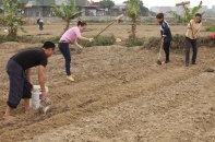 Tín dụng chính sách tạo sinh kế bền vững cho thanh niên 