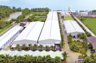 Sản phẩm dừa Vietcoco chinh phục thị trường thế giới 