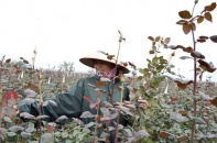 Hấp lực từ du lịch trải nghiệm