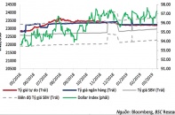 Tỷ giá không còn áp lực lớn trong năm 2019