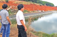 Doanh nghiệp cao su Bình Phước trước án “buộc dừng hoạt động”: Thấp thỏm chờ giải pháp 