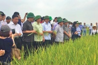 Để nông nghiệp miền Trung cất cánh