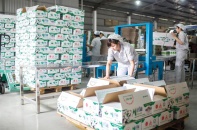 Những thương vụ M&A được chờ đợi