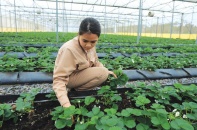 Ba thách thức của Việt Nam xuyên suốt trên chặng đường phát triển 